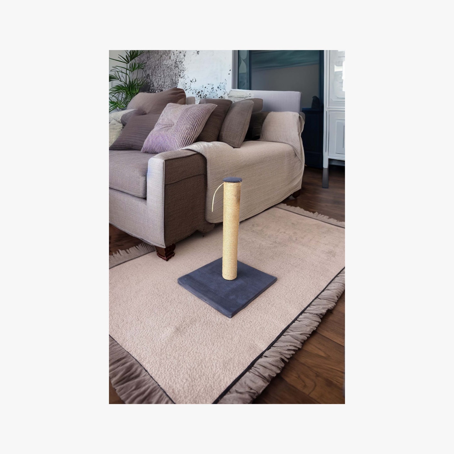 Kedi Tırmalaması - 42 cm