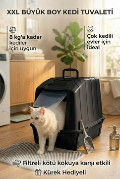 Siyah
