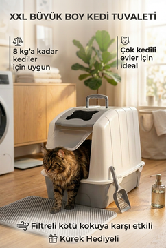 Açık gri