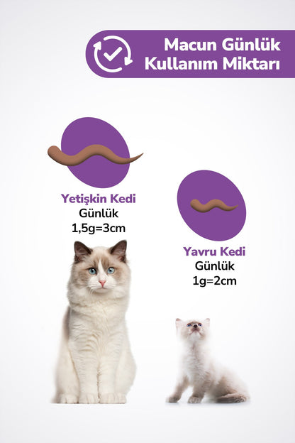 Sterilised Malt - Kısırlaştırılmış Kedilere Özel Multivitaminli Malt Macun - Sterile Kısır Kedi Maltı 100 Gr