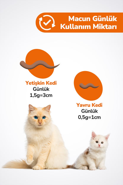 2x Multi paste - Kedi Multivitamin Malt Macunu - Taurinli Biyotin Kedi Maltı Tüy Yumak Önleyici Anti-hairball
