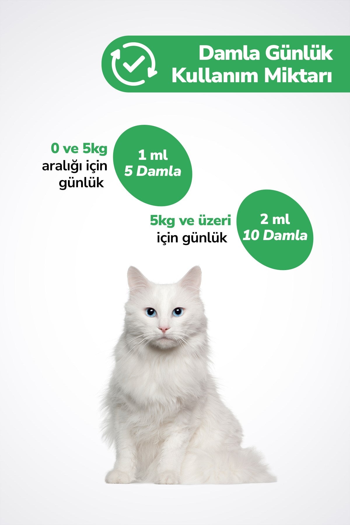 2 x Plus+B Damla -Kediler İçin Biotin ve Çinko İçeren Tüy Dökülmesini Azaltıcı Multivitaminli Plus+B Damla – 50 ml