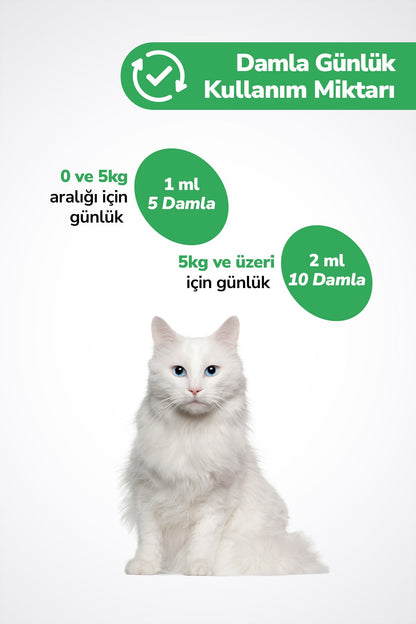 2 x Plus+B Damla -Kediler İçin Biotin ve Çinko İçeren Tüy Dökülmesini Azaltıcı Multivitaminli Plus+B Damla – 50 ml