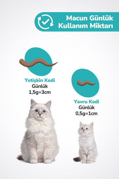 2x Malt paste - Kedi Tüy Yumağı Önleyici Malt Kedi Tüyü Döküm Dökülmesi Önleyici Engelleyici Kedi Maltı Macunu 100gr