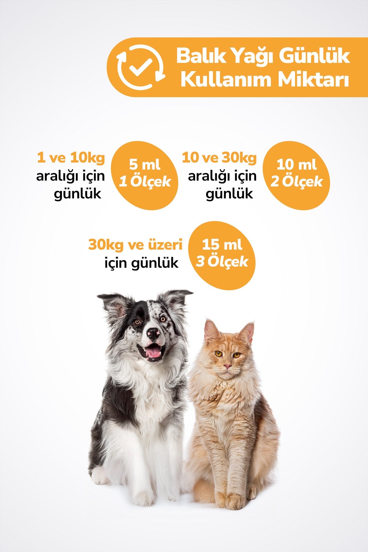 Fish Oil - Kedi Ve Köpekler Için Balık Yağı 200ml Omega 3 ve 6 Takviyesi Tüy ve Cilt Sağlığı Destekleyici